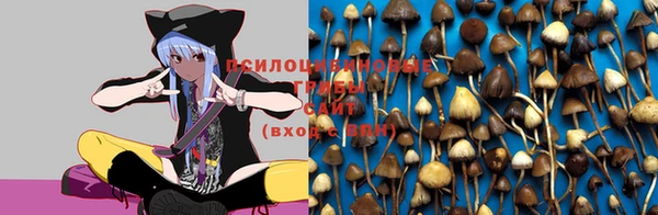 таблы Абинск